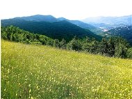  Valpolcevera (da Costa Fontanini) - Savignone - 2015 - Panorami - Estate - Voto: Non  - Last Visit: 24/1/2024 21.20.38 