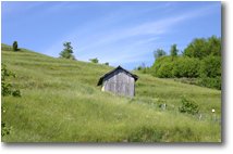 Fotografie Savignone - Panorami - Season changes: may on M. Cappellino