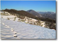 Foto Savignone - Panorami - Veduta dal Monte Cappellino