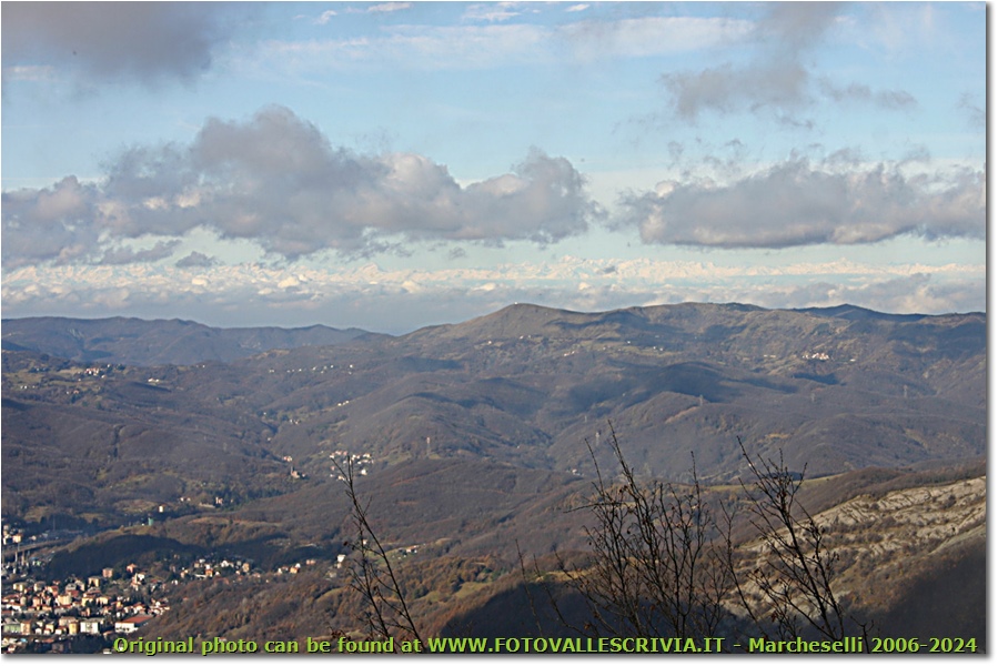 Veduta sulle Alpi dal Monte Maggio - Savignone - 2008 - Panorami - Inverno - Canon EOS 300D