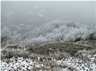  I boschi  del monte Pianetto brizzolati dal freddo - Savignone - 2006 - Panorami - Inverno - Voto: Non  - Last Visit: 28/9/2023 20.33.41 