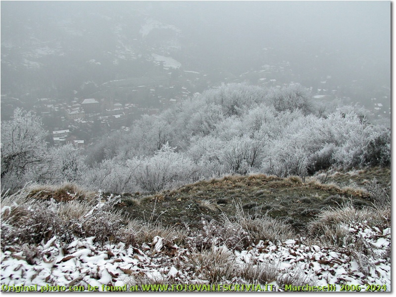 I boschi  del monte Pianetto brizzolati dal freddo - Savignone - 2006 - Panorami - Inverno - Olympus Camedia 3000