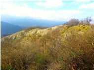   lo scheletro di conglomerato del Monte Pianetto - Savignone - 2016 - Panorami - Inverno - Voto: Non  - Last Visit: 14/9/2022 22.55.53 