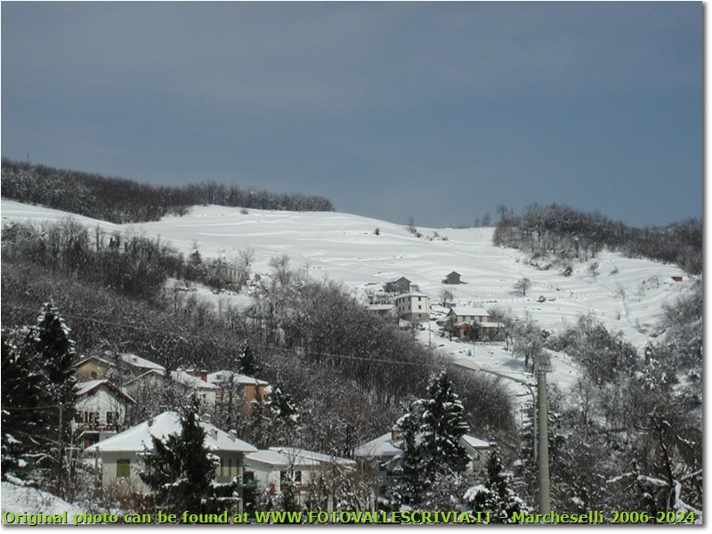I prati di Monte Cappellino ricoperti di neve - Savignone - 2005 - Panorami - Inverno - Olympus Camedia 3000