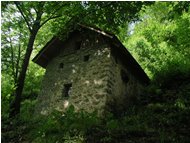  Abbandoned farmhouse in the woods - Savignone - <2001 - Villages - Summer - Voto: 7    - Last Visit: 30/9/2023 23.9.19 