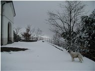  Another one from M. Maggio - Savignone - 2004 - Villages - Winter - Voto: Non  - Last Visit: 22/1/2024 5.44.37 