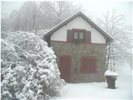  Prone trees under frost - Savignone - 2004 - Villages - Winter - Voto: Non  - Last Visit: 23/9/2023 16.45.46 