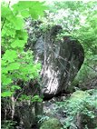  An old landslide in the woods - Savignone - 2010 - Woods - Summer - Voto: Non  - Last Visit: 13/4/2024 20.16.38 