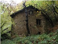  Autumn in Case Crosi hamlet - Savignone - 2005 - Woods - Winter - Voto: Non  - Last Visit: 23/9/2023 17.11.3 