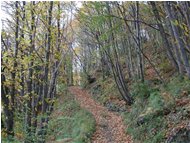  Autunno nel bosco - Savignone - 2002 - Woods - Winter - Voto: Non  - Last Visit: 27/1/2024 17.20.10 