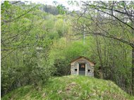  Cappelletta del Castello - Savignone - 2022 - Woods - Summer - Voto: Non  - Last Visit: 12/12/2024 15.49.49 