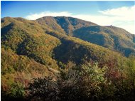 Colori d’autunno nei boschi di Savignone - Savignone - 2018 - Woods - Winter - Voto: Non  - Last Visit: 20/9/2023 1.34.55 