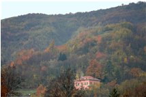  Fall 2006: the last colored spots - Savignone - 2007 - Woods - Winter - Voto: Non  - Last Visit: 18/9/2023 3.44.9 