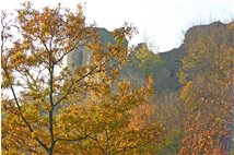  Fieschi Castle: some colours upon the gray ruins - Savignone - 2007 - Woods - Winter - Voto: Non  - Last Visit: 18/9/2023 12.39.8 
