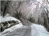  La gelata del 22 dicembre - Savignone - 2010 - Woods - Winter - Voto: Non  - Last Visit: 26/9/2023 7.53.45 