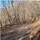  Luci e ombre nel bosco - Savignone - 2024 - Woods - Winter - Voto: Non  - Last Visit: 13/4/2024 16.48.59 