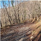  Luci e ombre nel bosco - Savignone - 2024 - Woods - Winter - Voto: Non  - Last Visit: 13/3/2025 18.4.16 