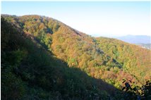  Nel bosco dietro al Monte Pianetto - Savignone - 2011 - Woods - Winter - Voto: Non  - Last Visit: 24/9/2023 16.3.10 