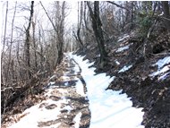  Neve di marzo sul M. Pianetto - Savignone - 2005 - Woods - Winter - Voto: Non  - Last Visit: 2/2/2024 2.5.2 