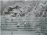  Neve ed effetto galaverna - Savignone - 2004 - Woods - Winter - Voto: Non  - Last Visit: 27/9/2023 14.24.0 