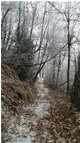  Primi accenni d’inverno nei boschi - Savignone - 2017 - Woods - Winter - Voto: Non  - Last Visit: 29/9/2023 13.47.41 