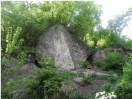  'Puddinga' or 'Conglomerato': typical stone of Valle Scrivia - Savignone - <2001 - Woods - Summer - Voto: Non  - Last Visit: 9/10/2023 3.51.44 