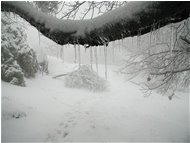  Rime - Savignone - 2004 - Woods - Winter - Voto: Non  - Last Visit: 24/12/2023 11.18.33 