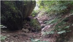  Risalendo Rio Piambertone   - Savignone - 2019 - Woods - Summer - Voto: Non  - Last Visit: 13/4/2024 20.40.3 
