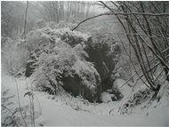  Savignone: nei boschi di Piambertone nella neve - Savignone - 2005 - Woods - Winter - Voto: Non  - Last Visit: 22/9/2023 11.37.6 