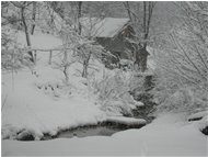  Savignone: nei boschi di Piambertone nella neve - Savignone - 2005 - Woods - Winter - Voto: Non  - Last Visit: 28/9/2023 2.0.42 