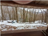  Visione invernale - Savignone - 2023 - Woods - Winter - Voto: Non  - Last Visit: 13/4/2024 19.3.5 