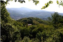  Woods near Costalovaia  - Savignone - 2006 - Woods - Summer - Voto: Non  - Last Visit: 8/10/2023 0.20.48 