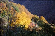  A sunset brush stroke - Savignone - 2008 - Woods - Winter - Voto: 10   - Last Visit: 26/9/2023 23.4.5 