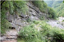  Strati di marne calcaree in Val Brevenna - ValBrevenna - 2007 - Altro - Estate - Voto: Non  - Last Visit: 26/1/2023 22.3.4 