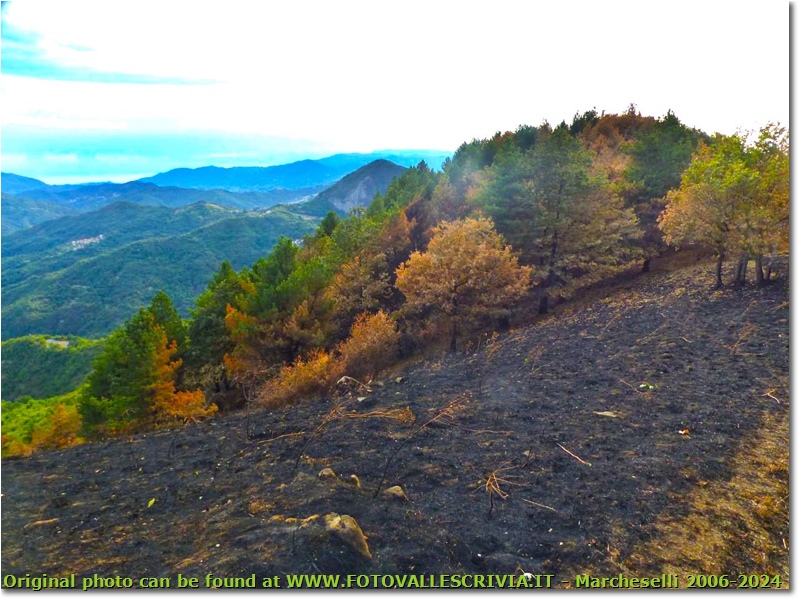 Incendio sul Monte Proventino, Valbrevenna - ValBrevenna - 2017 - Boschi - Estate - Canon EOS 300D