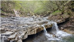  Rio di Tonno, sopra al mulino - ValBrevenna - 2016 - Boschi - Estate - Voto: Non  - Last Visit: 26/9/2023 22.43.3 