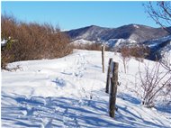  Salendo al M. Proventino, il paese di Alpe di Vobbia - ValBrevenna - 2021 - Boschi - Inverno - Voto: Non  - Last Visit: 25/5/2024 8.29.54 