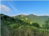  Alle pendici del Monte Banca - ValBrevenna - 2020 - Landscapes - Summer - Voto: Non  - Last Visit: 19/4/2025 6.43.53 