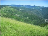  Boschi con i primi segnali del parassita lymantria in Val Brevenna - ValBrevenna - 2012 - Landscapes - Summer - Voto: Non  - Last Visit: 25/5/2024 9.18.2 
