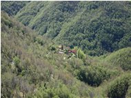  Case isolate in Val Brevenna: Cannevelle - ValBrevenna - 2005 - Landscapes - Summer - Voto: Non  - Last Visit: 13/2/2024 8.56.58 