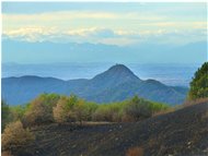  Incendio sul Monte Proventino, Valbrevenna - ValBrevenna - 2017 - Landscapes - Summer - Voto: Non  - Last Visit: 3/3/2024 19.24.23 