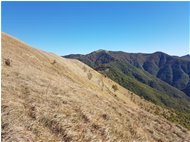  Monte Antola salendo al Monte Buio - ValBrevenna - 2017 - Landscapes - Summer - Voto: Non  - Last Visit: 25/5/2024 9.22.23 