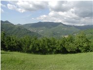  Paesini di Valbrevenna: Nenno Caserza e Ternano - ValBrevenna - 2002 - Landscapes - Summer - Voto: Non  - Last Visit: 2/4/2024 15.8.14 