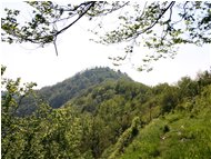  Val Brevenna: Monte Penzo - ValBrevenna - 2005 - Landscapes - Summer - Voto: Non  - Last Visit: 29/10/2023 5.0.32 