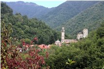  Alta Val Brevenna: frazione Senarega - ValBrevenna - 2009 - Paesi - Estate - Voto: Non  - Last Visit: 25/5/2024 9.14.42 