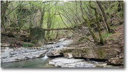 Fotografie ValBrevenna - Paesi - Il mulino di Tonno