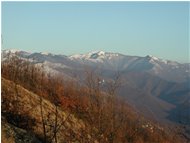 M. Antola - ValBrevenna - 2004 - Panorami - Inverno - Voto: 9    - Last Visit: 24/9/2022 22.40.54 