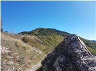  Colori autunnali sul Monte Carmo salendo verso il Monte Buio - ValBrevenna - 2017 - Panorami - Estate - Voto: Non  - Last Visit: 25/5/2024 9.22.25 