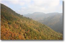 Foto ValBrevenna - Panorami - Fall colors in Val brevenna