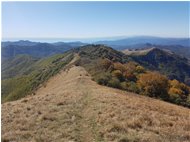  Dalla vetta del Monte Buio, riviera di Ponente (Capi Mele e Noli) - ValBrevenna - 2017 - Panorami - Estate - Voto: Non  - Last Visit: 25/5/2024 9.22.15 